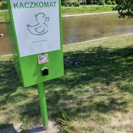 - Rodzinne Blisko Natury I Atrakcji - 15min Pieszo Do Centrum - 15min Autem Do Stoku